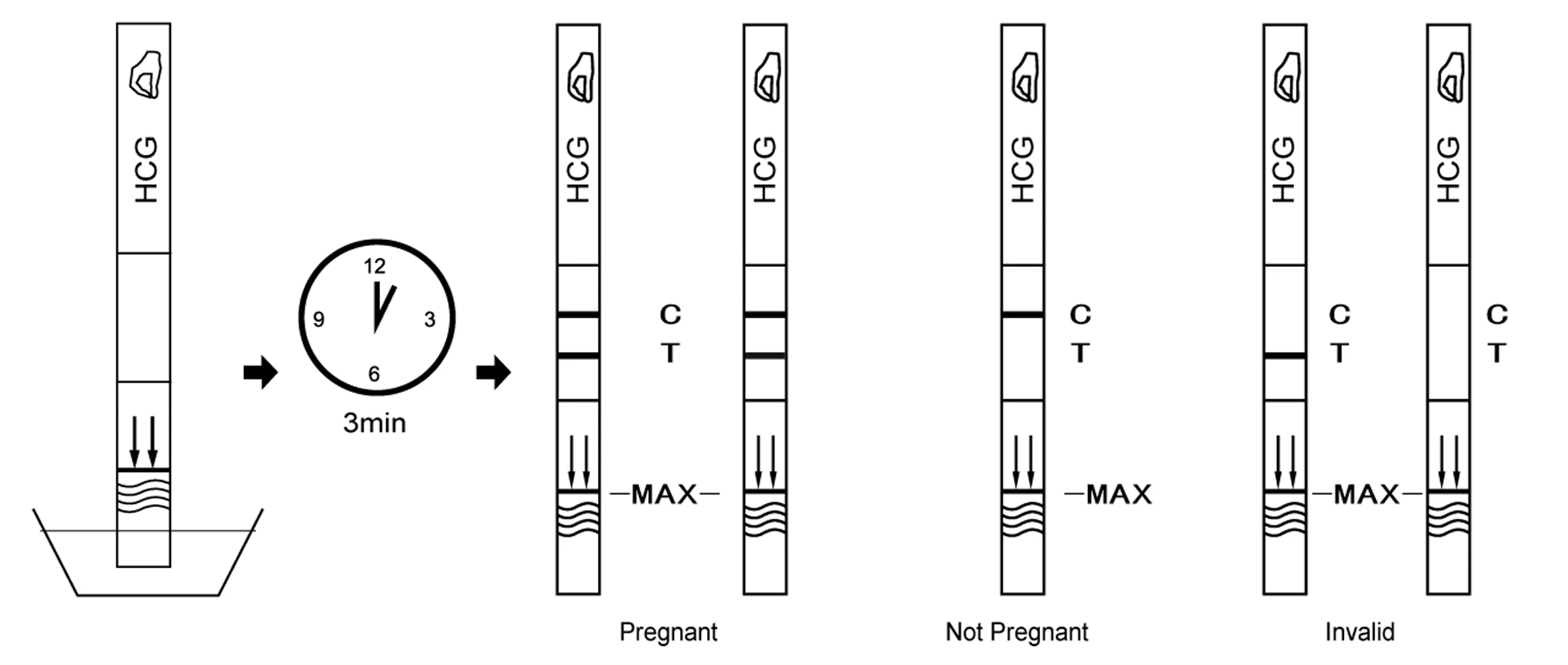 HCG